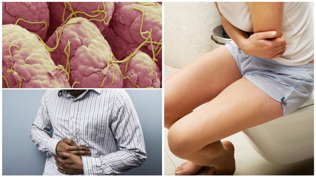 worms in human body