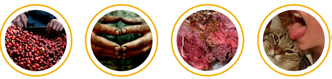 How parasites enter the body