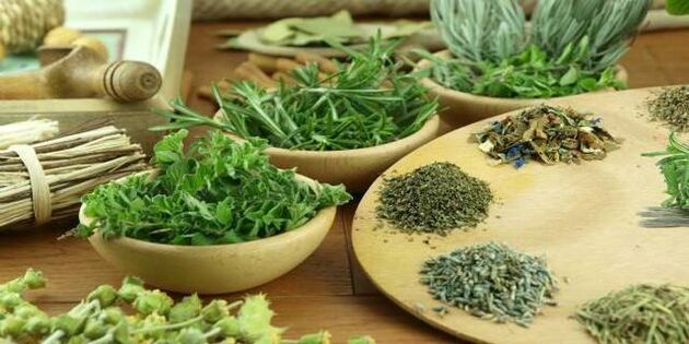 Cloves Fight Internal Parasites