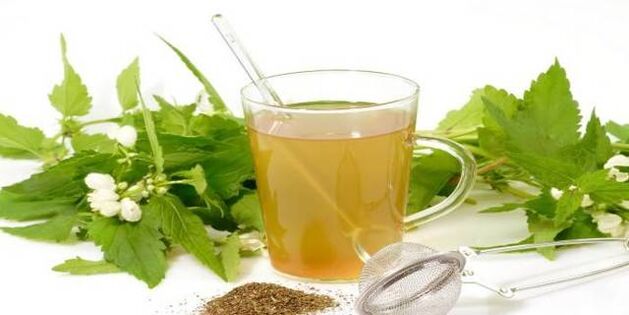 Herbal Tinctures to Fight Parasites