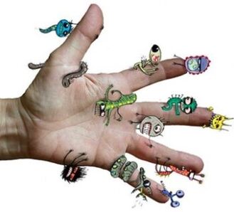 Bacteria and parasites on human hands