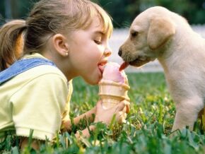 Girl gets parasite after eating ice cream with dog